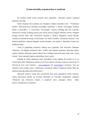 Feminizmo samprata 17 puslapis