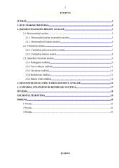 Finansinė analizė: stipriųjų alkoholinių gėrimų gamykla AB "Stumbras" 2 puslapis
