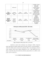 Finansinė analizė: stipriųjų alkoholinių gėrimų gamykla AB "Stumbras" 10 puslapis