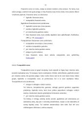 Finansinė ataskaita: tarptautiniai krovinių vežimai UAB "Tentara" 10 puslapis