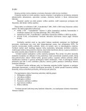 Finansinė veiklos analizė: UAB "Vamzdininkai" 3 puslapis