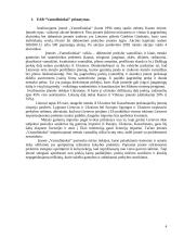 Finansinė veiklos analizė: UAB "Vamzdininkai" 4 puslapis