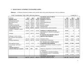 Finansinė veiklos analizė: UAB "Vamzdininkai" 5 puslapis