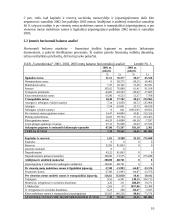 Finansinė veiklos analizė: UAB "Vamzdininkai" 10 puslapis