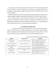 Finansinės būklės tyrimas: vaistų platinimas UAB "Litfarma" 12 puslapis