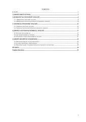 Finansinės veiklos analizė 2 puslapis