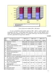 Finansinės veiklos analizė 13 puslapis