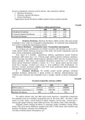 Finansinės veiklos analizė 20 puslapis