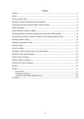 Finansinės veiklos ir rezultatų vertinimas 2 puslapis