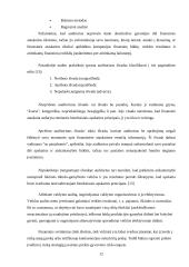 Finansinės veiklos ir rezultatų vertinimas 12 puslapis