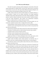 Finansinių investicijų portfelio sudarymas ir valdymas 16 puslapis