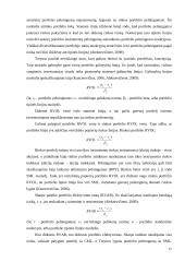 Finansinių investicijų portfelio sudarymas ir valdymas 17 puslapis
