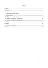 Geografijos mokymo(si) procesą aktyvinantys metodai 2 puslapis