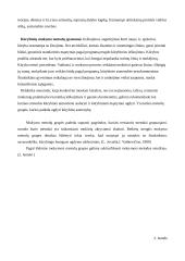 Geografijos mokymo(si) procesą aktyvinantys metodai 11 puslapis