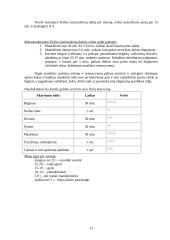 Gimnastika ir jos poreikis organizmui 13 puslapis