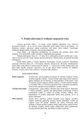 Gimnastika ir jos poreikis organizmui 14 puslapis