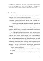 Grupinė veikla ir informacinės technologijos 5 puslapis