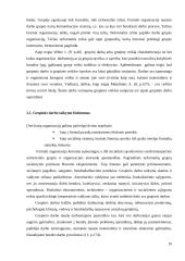 Grupinė veikla ir informacinės technologijos 9 puslapis