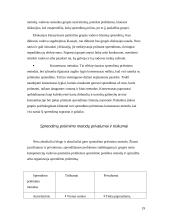 Grupinio darbo organizavimas, valdymo sprendimai 18 puslapis