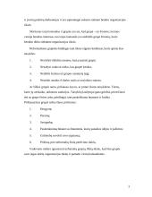 Grupinio darbo organizavimas, valdymo sprendimai 2 puslapis