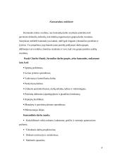 Grupinio darbo organizavimas, valdymo sprendimai 3 puslapis