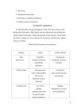 Grupinio darbo organizavimas, valdymo sprendimai 7 puslapis