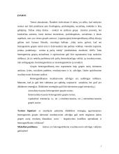 Heterogeninių grupių valdymas 2 puslapis