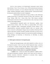 Heterogeninių grupių valdymas 13 puslapis