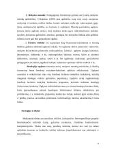 Heterogeninių grupių valdymas 14 puslapis