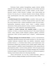 Heterogeninių grupių valdymas 15 puslapis