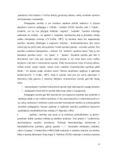 Heterogeninių grupių valdymas 18 puslapis
