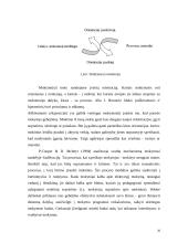 Heterogeninių grupių valdymas 20 puslapis