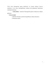 Heterogeninių grupių valdymas 3 puslapis