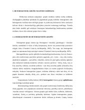 Heterogeninių grupių valdymas 4 puslapis