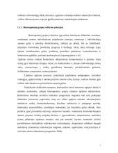 Heterogeninių grupių valdymas 5 puslapis