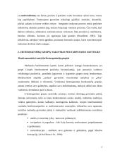 Heterogeninių grupių valdymas 8 puslapis