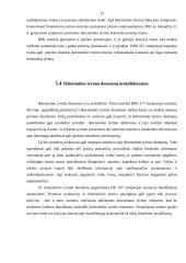 Ikiteisminio tyrimo pareigūnai ir jų funkcijos 13 puslapis
