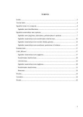 Ilgalaikio materialiojo turto apskaita: UAB "Bikuva" 2 puslapis