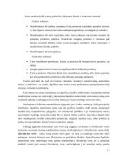 Ilgalaikio materialiojo turto apskaita: UAB "Bikuva" 11 puslapis