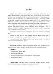Ilgalaikio materialiojo turto apskaita: UAB "Bikuva" 3 puslapis