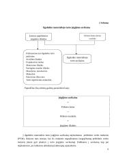 Ilgalaikio materialiojo turto apskaita: UAB "Bikuva" 9 puslapis