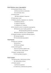 Ilgalaikio turto nusidėvėjimo apskaita įmonėje: UAB "Realas" 14 puslapis