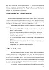 Įmonės analizė: Lietuvos šilumos tinklai 11 puslapis
