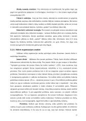 Įmonės analizė: Lietuvos šilumos tinklai 19 puslapis