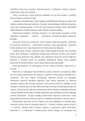 Įmonės analizė: Lietuvos šilumos tinklai 7 puslapis