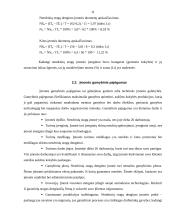 Įmonės analizė: nendrinių stogų gamyba 11 puslapis