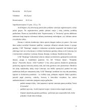Įmonės analizė: prancūziškos konditerijos importas, gamyba ir pardavimas UAB "Mantinga" 14 puslapis