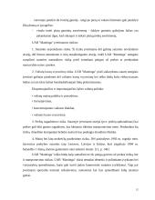 Įmonės analizė: prancūziškos konditerijos importas, gamyba ir pardavimas UAB "Mantinga" 15 puslapis