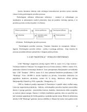 Įmonės analizė: prancūziškos konditerijos importas, gamyba ir pardavimas UAB "Mantinga" 10 puslapis