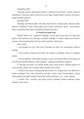 Įmonės aprašymas: prekyba kailiais AB "Vilniaus kailiai" 13 puslapis